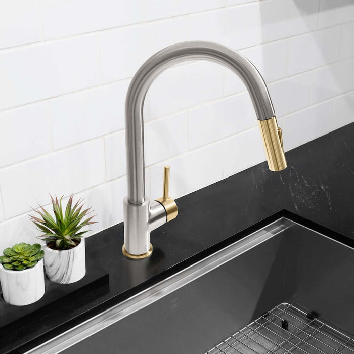 ZLINE Autograph Edition Gemini Pull Down Single Handle Kitchen Faucet GEM-KF-Z