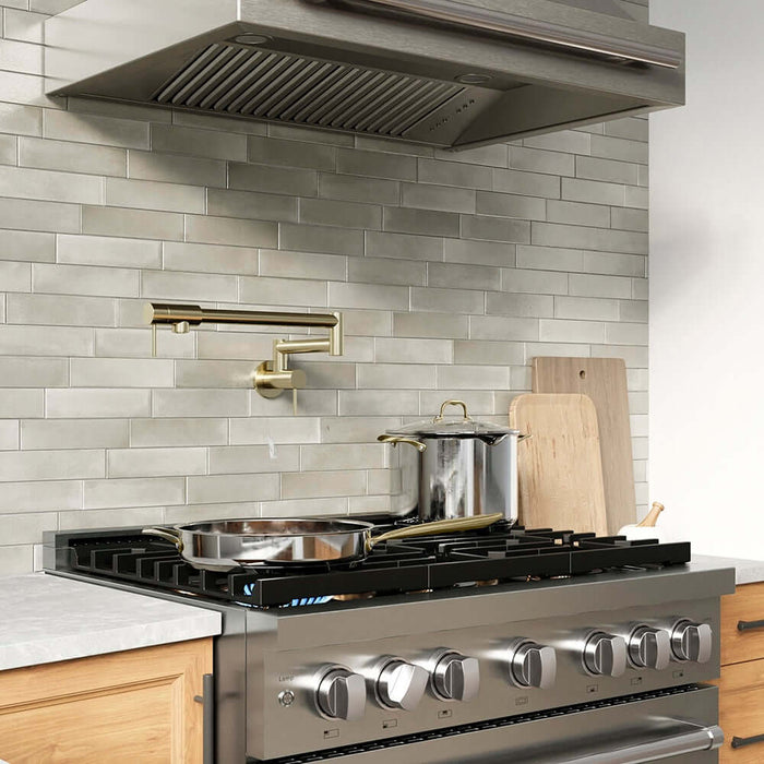 ZLINE 36" Paramount Dual Fuel Range DuoPro™ Cooktop, Electric Convection Oven PSDR-BLM-3609K