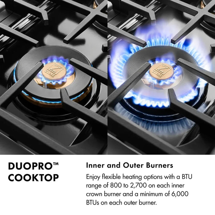 ZLINE 48" Paramount Dual Fuel Range DuoPro™ Cooktop, Dual Ovens PSDRSZ-WM-48-MB09K