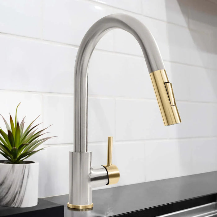 ZLINE Autograph Edition Gemini Pull Down Single Handle Kitchen Faucet GEM-KF-Z