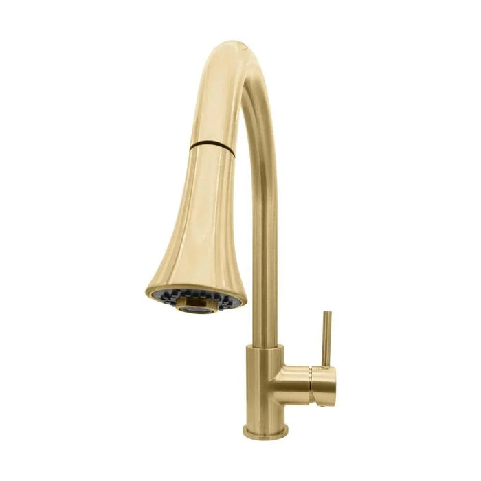 ZLINE Edison Kitchen Faucet, EDS-KF-CB09K