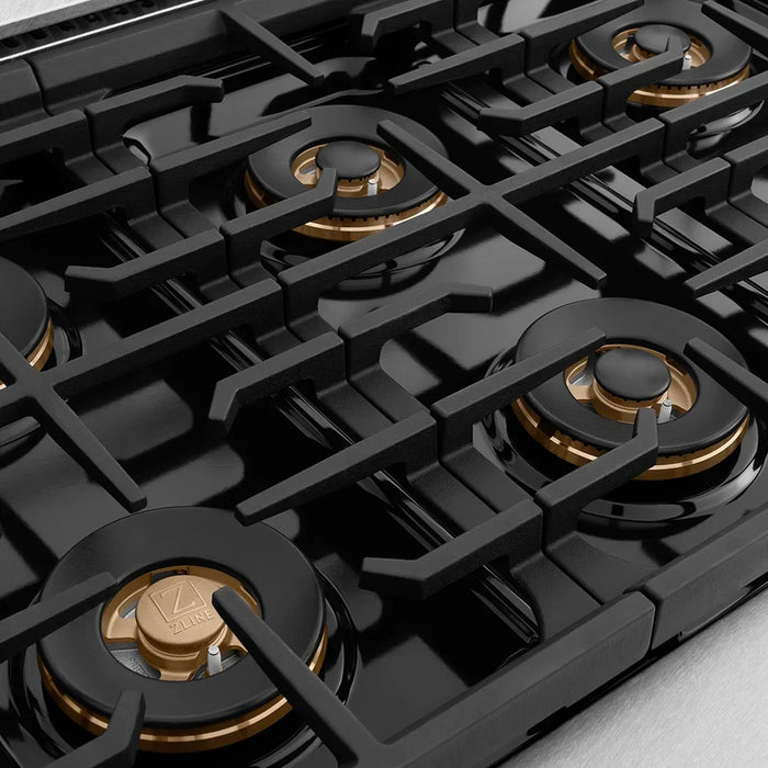 ZLINE 48" Paramount Dual Fuel Range DuoPro™ Cooktop, Dual Ovens PSDRSZ-BLM48-G09K