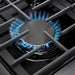 THOR 36" Professional Gas Range in Stainless Steel, LRG3601U - Farmhouse Kitchen and Bath