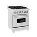 ZLINE 24" Gas On Gas Range In DuraSnow, Stainless Steel, RGS - SN - 24 - Farmhouse Kitchen and Bath