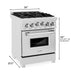 ZLINE 24" Gas On Gas Range In DuraSnow, Stainless Steel, RGS - SN - 24 - Farmhouse Kitchen and Bath