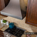 ZLINE 30" Designer Snow Stainless Finish Wall Range Hood, 8632S - 30 - Farmhouse Kitchen and Bath