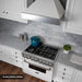 ZLINE 30" Dual Fuel Range, DuraSnow, Stainless, White Matte Door, RAS - WM - 30 - Farmhouse Kitchen and Bath