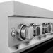 ZLINE 30" Induction Range in DuraSnow with a 4 Element Stove and Electric Oven RAINDS - BLM - 30 - Farmhouse Kitchen and Bath
