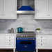 ZLINE 36" Professional Dual Fuel Range in Snow Stainless, Blue Gloss Door, RAS - BG - 36 - Farmhouse Kitchen and Bath