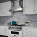 ZLINE 36" Snow Finish Stainless Range Hood with Snow Finish Shell, 8654SN - 36 - Farmhouse Kitchen and Bath