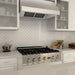 ZLINE 36" UNDER CABINET RANGE HOOD (523 - 36) - Farmhouse Kitchen and Bath