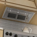 ZLINE 40" Stainless In/Outdoor Under Cabinet RangeHood Insert, 721 - 304 - 40 - Farmhouse Kitchen and Bath