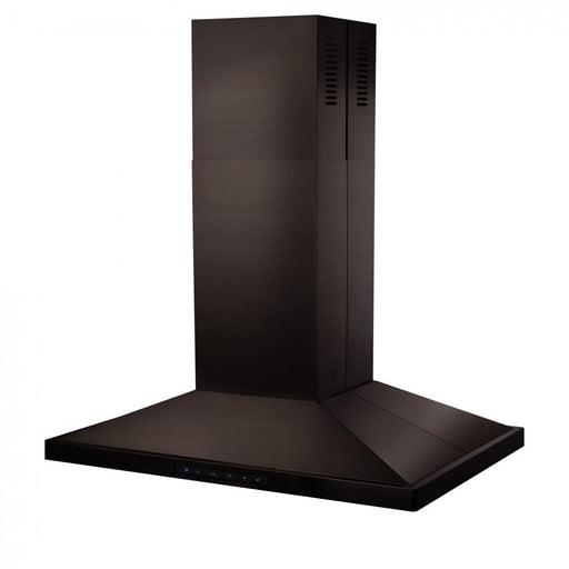 ZLINE 48" Island Range Hood in Black Stainless Steel, BSGL2iN - 48 - Farmhouse Kitchen and Bath