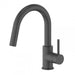 ZLINE Dante Kitchen Faucet in Electric Black Matte, DNT - KF - MB - Farmhouse Kitchen and Bath