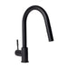 ZLINE Gemini Kitchen Faucet, GEM - KF - MB - Farmhouse Kitchen and Bath